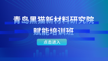 青岛黑猫新材料研究院赋能培训班