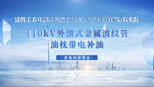 110kV 外油式金属波纹管油枕带电补油