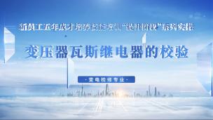 变压器瓦斯继电器的校验