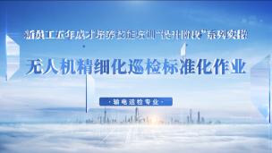 无人机精细化巡检标准化作业