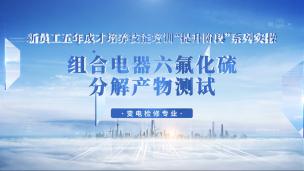 组合电器六氟化硫分解产物测试