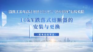 10kV跌落式熔断器的安装与更换