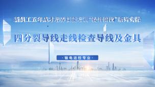 四分裂导线走线检查导线及金具