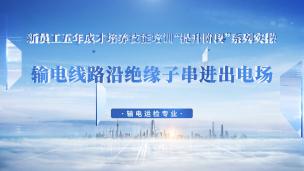 输电线路沿绝缘子串进出电场